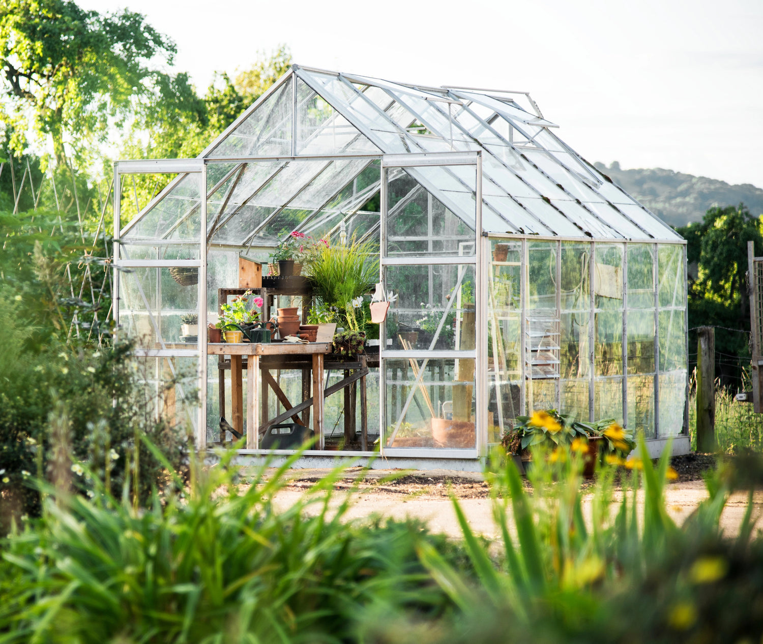 Greenhouses